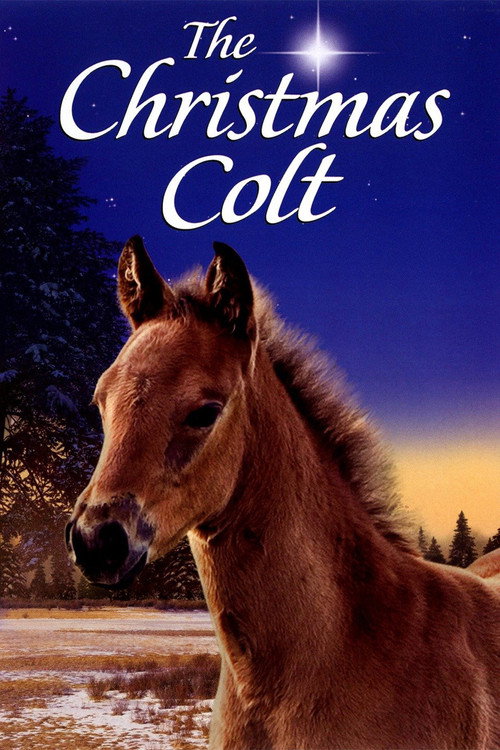 The Christmas Colt official trailer poster