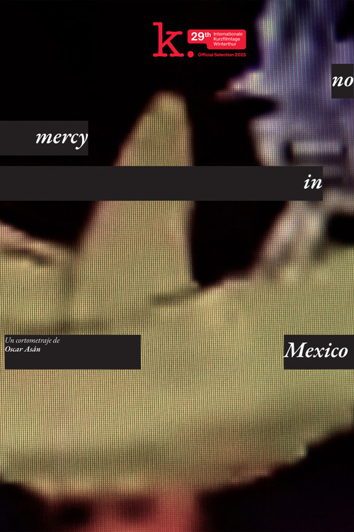 no_mercy_in_mexico official trailer poster