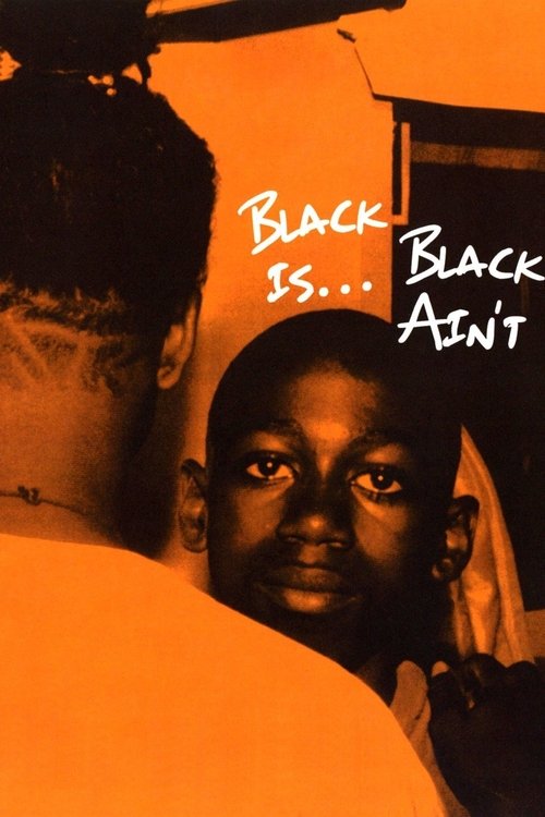 Black Is… Black Ain’t official trailer poster