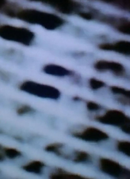 The Space in Between (Airport Architecture) official trailer poster