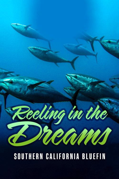 Reeling in the Dreams: Southern California Bluefin official trailer poster