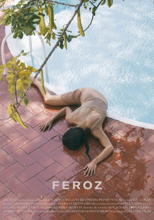 Feroz official trailer poster