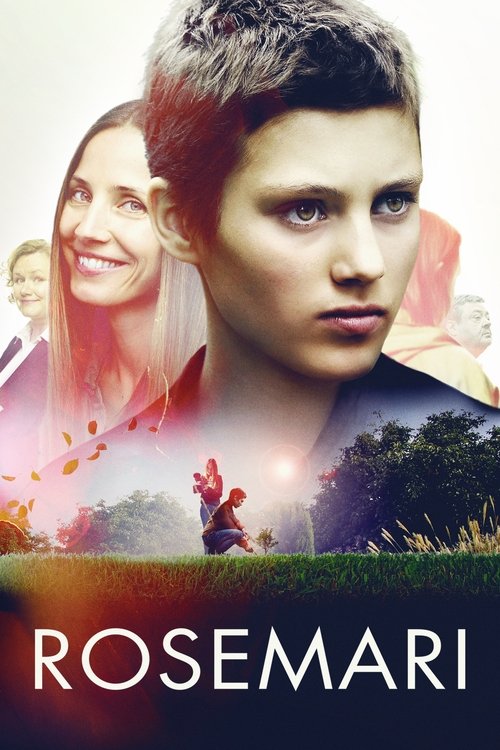 Framing Mom official trailer poster