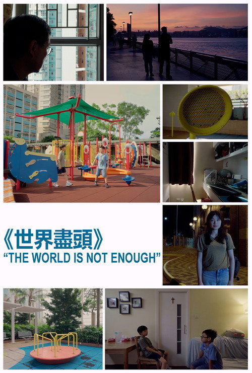 The World Is Not Enough official trailer poster