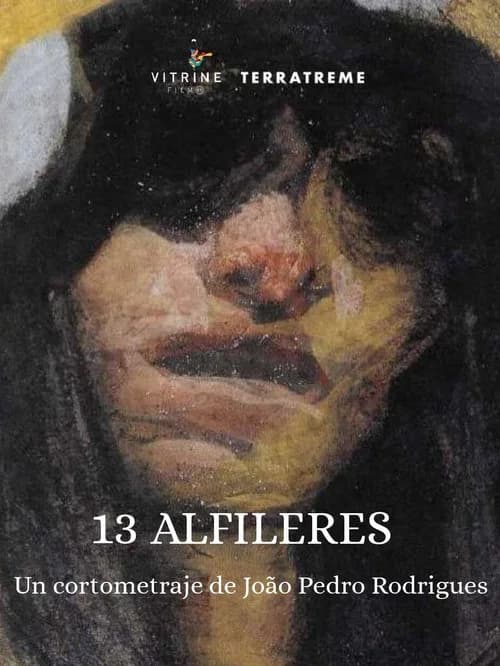 13 Alfinetes official trailer poster