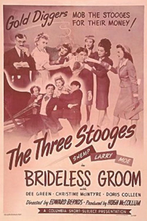 Brideless Groom official trailer poster