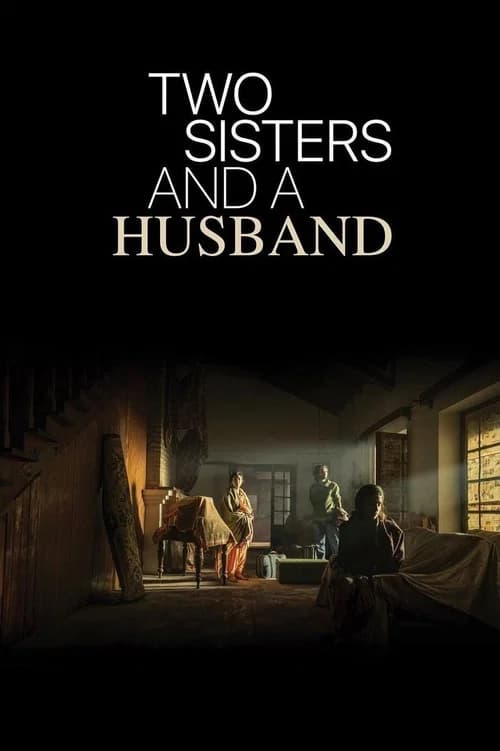 Two Sisters And A Husband official trailer poster