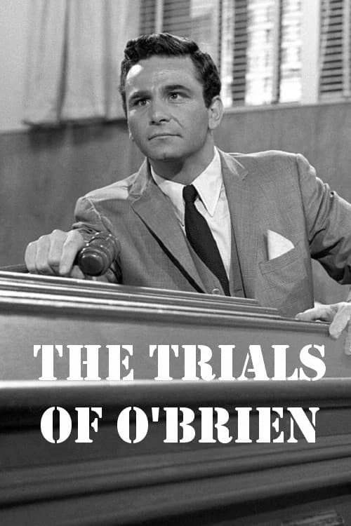 The Trials of O'Brien official trailer poster