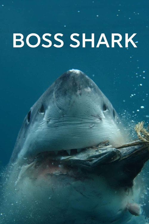 Boss Shark official trailer poster