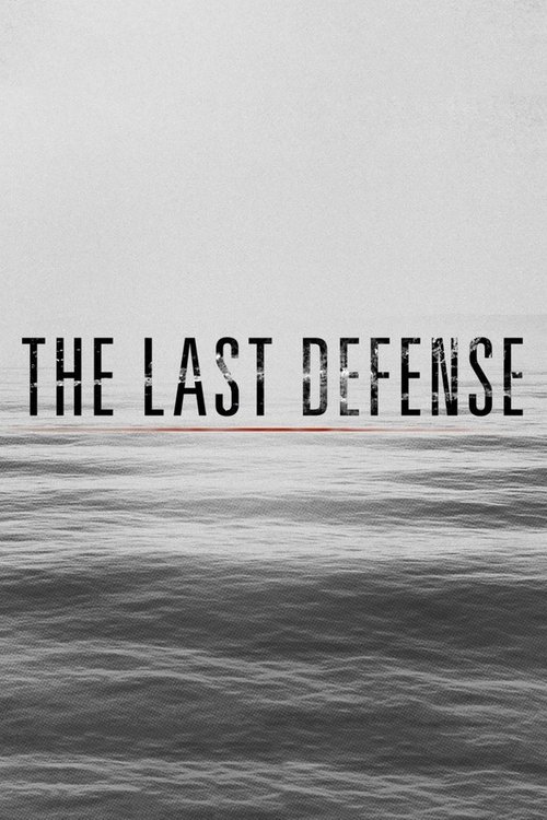 The Last Defense official trailer poster