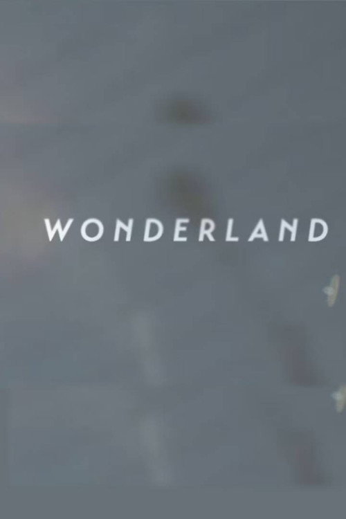 Wonderland | A Short Form Doc on Creative Commerce official trailer poster