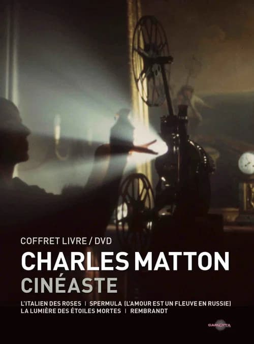 Charles Matton visiblement official trailer poster