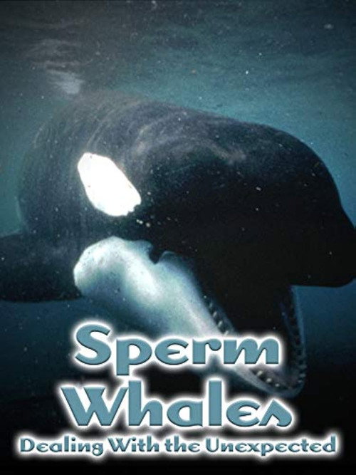 Sperm Whales: Dealing with the Unexpected official trailer poster
