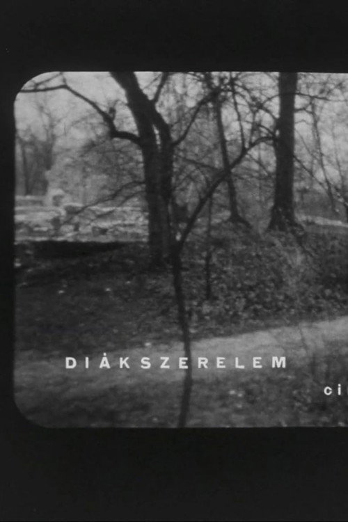 Diákszerelem official trailer poster