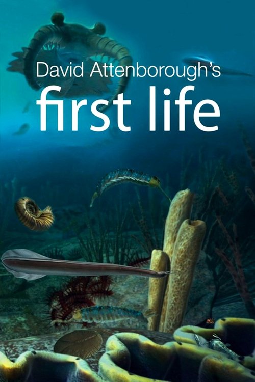 First Life official trailer poster