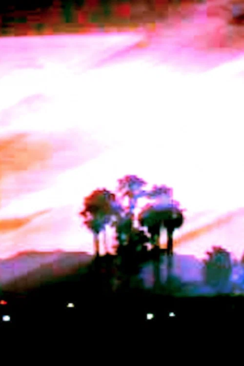 Florida Ghost official trailer poster