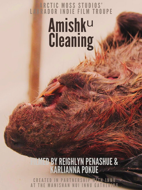 Harvesting Traditional Innu Foods: Amishkᵘ official trailer poster