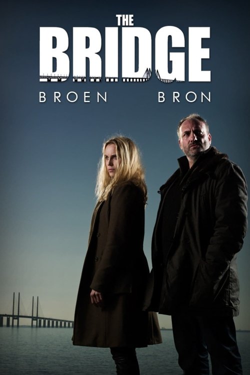 The Bridge official trailer poster