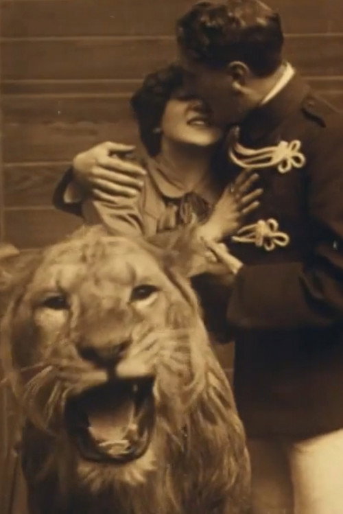 Love Amongst the Lions official trailer poster