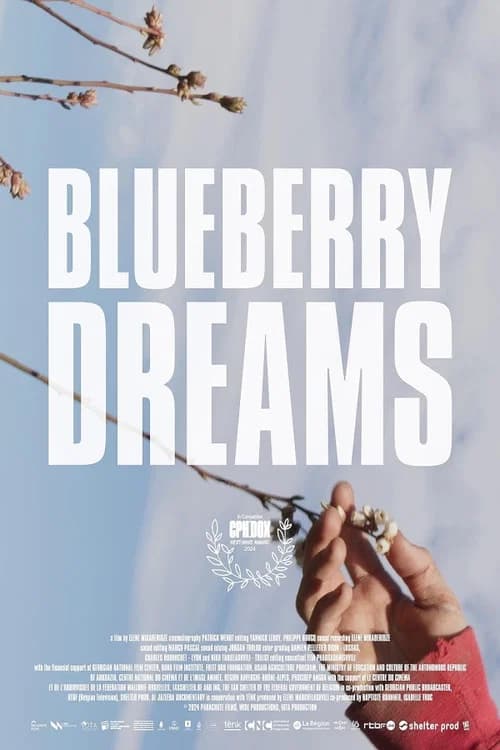 Blueberry Dreams official trailer poster