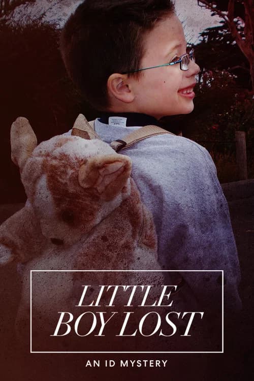 Little Boy Lost: An ID Mystery official trailer poster