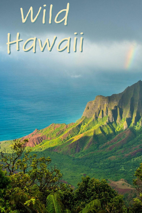 Wild Hawaii official trailer poster