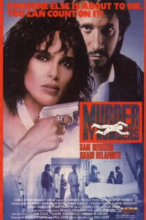 Murder by Numbers official poster
