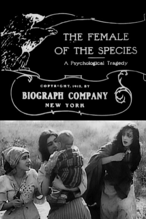 The Female of the Species official trailer poster