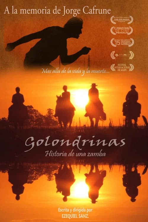 Golondrinas, historia de una zamba official trailer poster