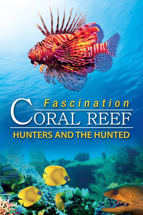 Fascination Coral Reef: Hunters and the Hunted official trailer poster