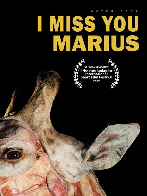 I Miss You, Marius official trailer poster