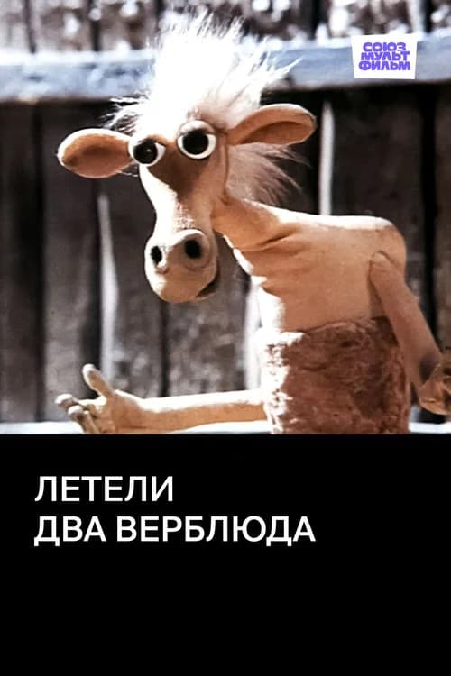 Two Camels Were Flying official trailer poster