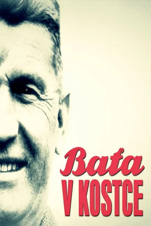 Baťa v kostce official trailer poster