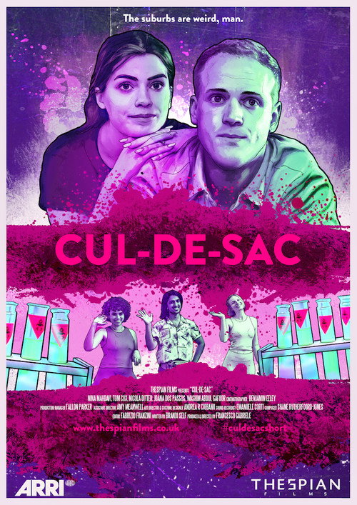 Cul-de-sac official trailer poster