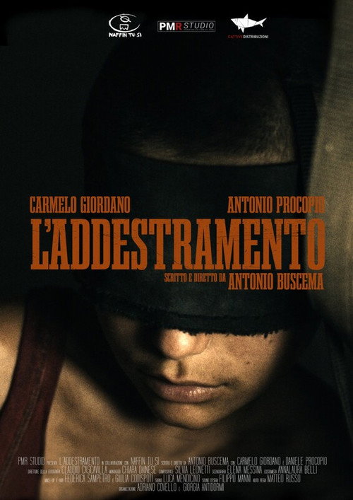 L'addestramento official trailer poster