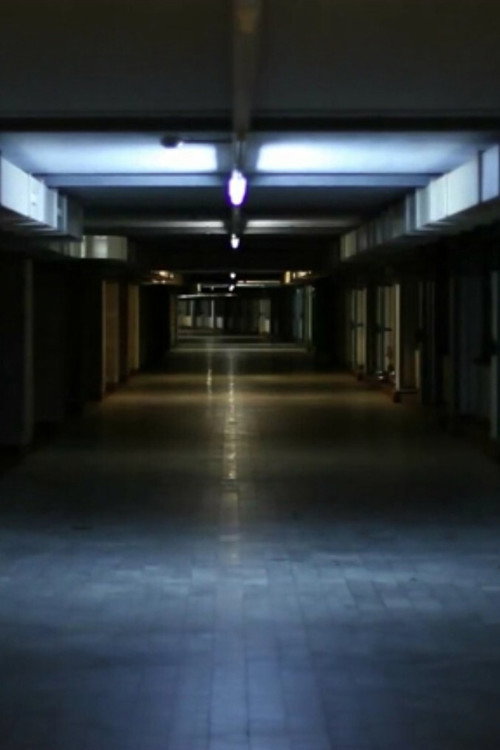 Workers Leaving the Factory (again) official trailer poster
