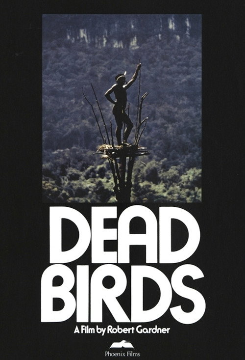 Dead Birds official trailer poster