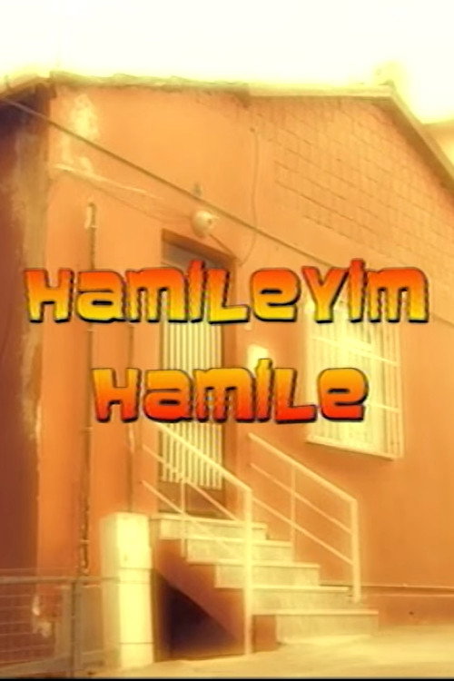 Hamileyim Hamile official trailer poster