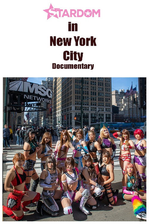 Stardom in NYC official trailer poster