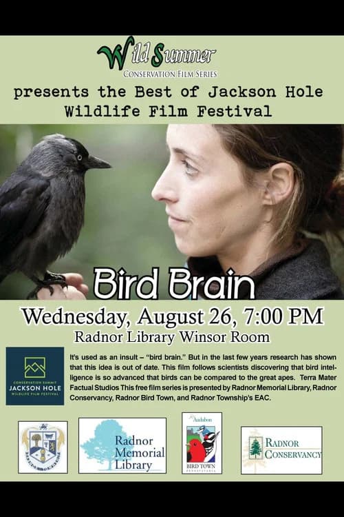 Bird Brain official trailer poster