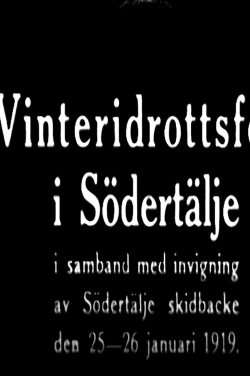 Winter Sports Party in Södertälje official trailer poster