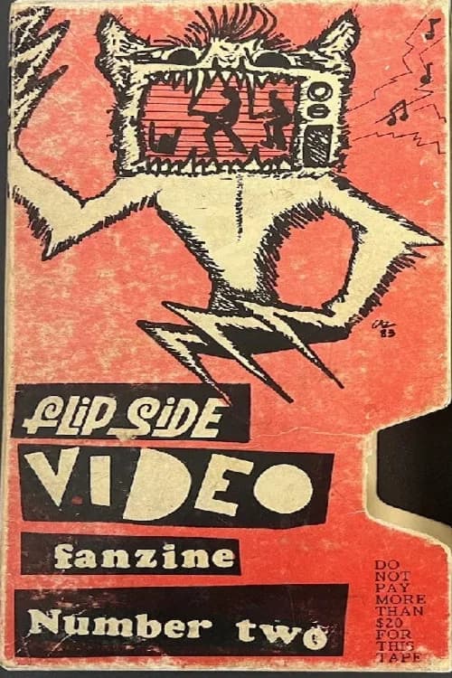 Flipside Video Fanzine Number Two official trailer poster