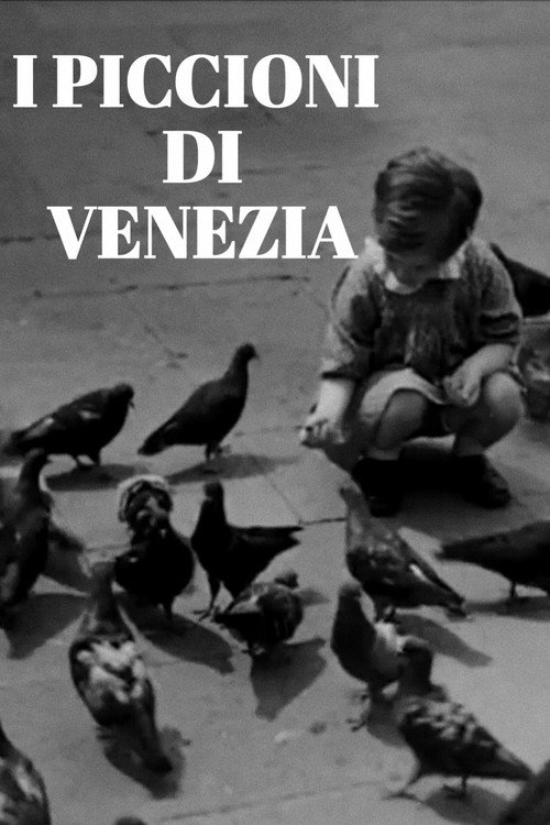 I piccioni di Venezia official trailer poster