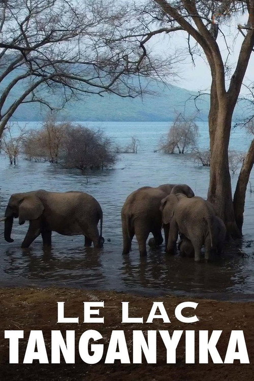 Le lac Tanganyika, la source de vie de l'Afrique official trailer poster