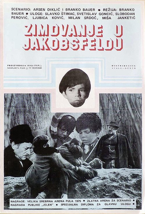 Wintering in Jakobsfeld official trailer poster