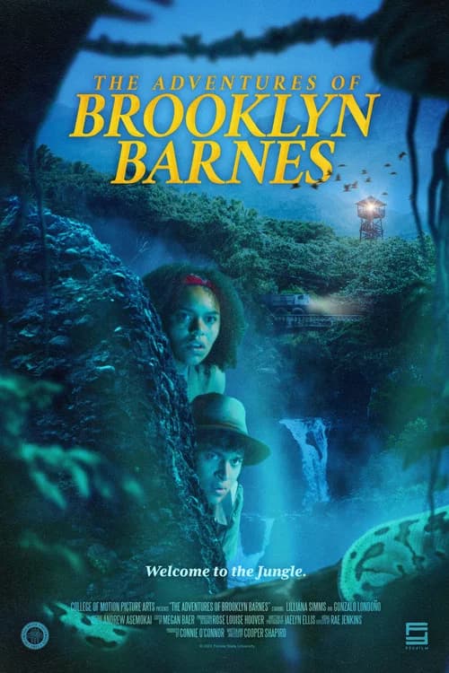 The Adventures of Brooklyn Barnes official trailer poster