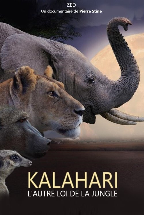 Kalahari, l'autre loi de la jungle official trailer poster