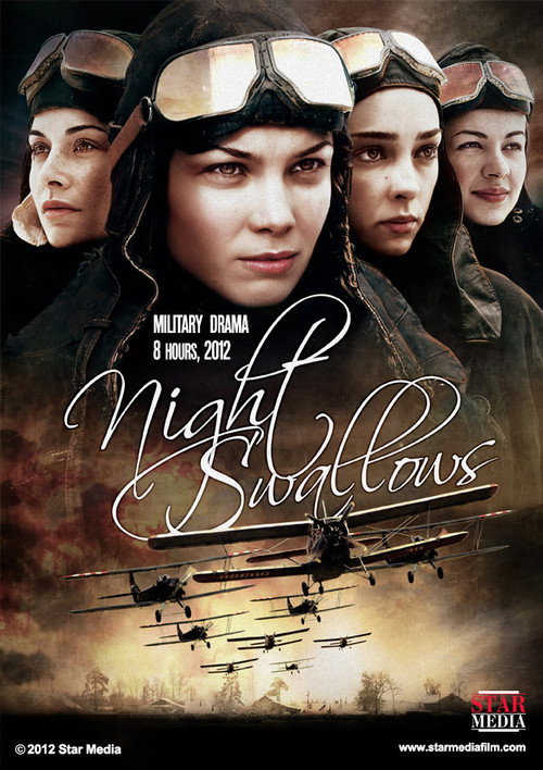 Night Swallows official trailer poster