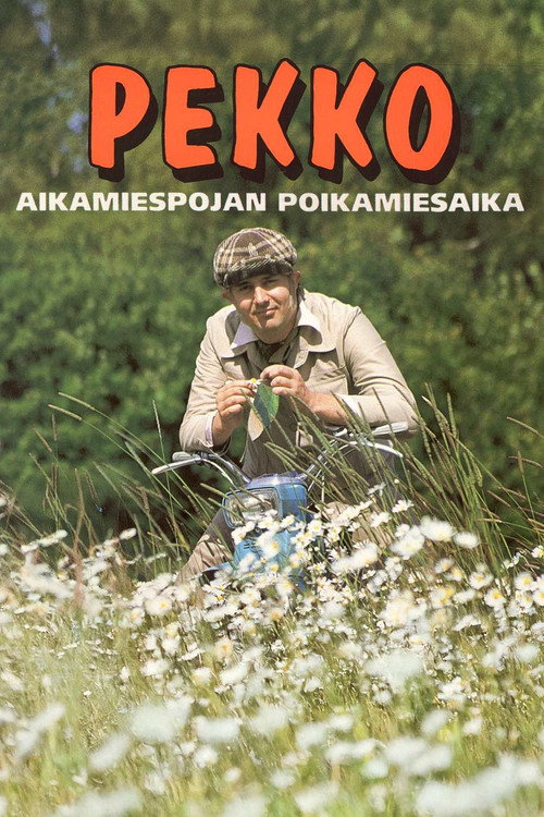 Pekko aikamiespojan poikamiesaika official trailer poster