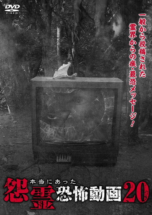 Real Vengeful Ghost Horror Video 20 official trailer poster